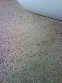 Swansea Carpet Cleaning 354081 Image 2
